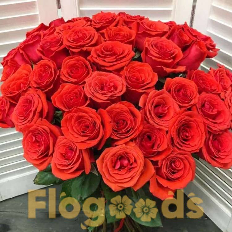 51 красная роза за 19 610 руб.